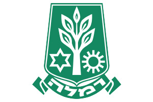 רישיון עסק ברמלה
